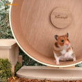 Niteangel Replacement Cork Running Track - Fits for Wooden Hamster Wheel Series | Acrylic Hamster Exercise Wheel w/Cork 