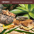 Gargeer 3oz Bugs & Insects Gel. for Roaches, Crickets & Worms, Made in USA