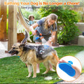 Dog Shower Attachment with 6.6Ft Long Shower Hose & Metal 3-Way Diverter