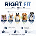 ShawnCo Essential Dog Harness, No-Pull Pet Vest with 3 Leash Clips, No Choke, Reflective, Adjustable and Padded, for Easy Walking and Training for Small, Medium and Large Dogs (Oceanic Blue, S)