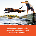 Grizzly Salmon Plus Oil Supplement for Dogs & Cats, Omega 3-6-9, 32 oz