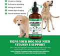 Vitamin E for Dogs Liquid 250 IU - Vitamin E Oil for Dogs Skin and Coat Support - Dog Immune Support Antioxidant Supplem