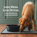Leash Boss Rectangular Silicone Pet Feeding Mat, Raised Edge, 18 x 11, Gray