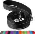 Frisco Solid Nylon Dog Leash