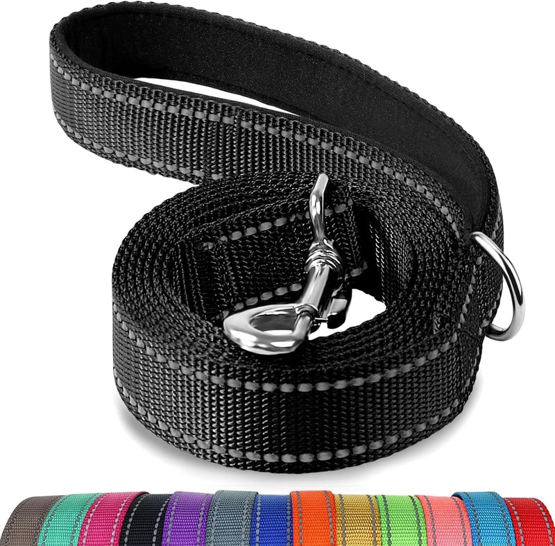 Frisco Solid Nylon Dog Leash