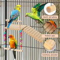 ZooVibe Bird Perches Platform Swing with Climbing Ladder Birds Toys Cage Accessories for Cockatiels, Lovebirds, Pacific Parrotlets,Chinchilla, Hamster Play Gym Exercise Stand