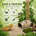 LIKZINWA Reptile Terrarium Decor Kit with Jungle Plants & Vines