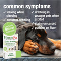 HomeoPet Leaks No More Urinary Supplement for Dogs and Cats, 15 Milliliters