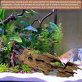 PINVNBY Natural Driftwood for Aquarium 6-11'Reptile Wood Aquarium Wood