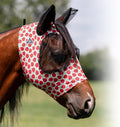 Lucky Ladybug/Pony