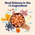 Solid Gold Indoor Salmon Dry Cat Food, High Fiber, Adult & Senior Cats, 3LB