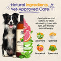 Dog Shampoo and Conditioner Energizing Grapefruit & Spearmint 16 Oz Dog Shampoo Itchy Skin Relief Aromatherapy Dog Shamp