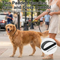 Joytale Slip Lead Dog Leash with Dual Handle, No Pull, Black, 6FT x 3/8"