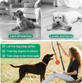 AmaCielo Flirt Pole for Dogs, Interactive Toys Tug-of-war for Pet, Durable Teaser Wand, Chase Toys with Rope Chewing Sticks, for Outdoor Exercise & Training