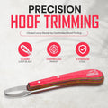 Equine Care Hoof Loop Knife, J2 Stainless Steel, Red Handle, Either Hand