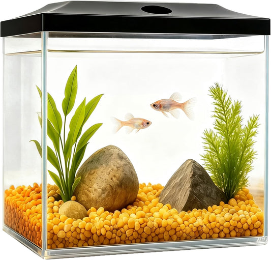 0.8-Gallon Cube Small Fish Tank, Shatterproof Plastic Fish Tank with LED Lighting, Temporary Fish Bowl for Fry, Isolatio