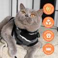 Suitical Recovery Suit for Cats - Spay and Neutering Cat Surgery Recovery Suit for Male or Female - Soft Fabric for Skin