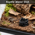 6 Pcs Spider Micro Water Bowls, Mini Resin Dish for Tarantula, Spider, Millipede and Tiny Reptiles, Food/Water Dish for 