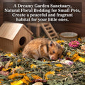 RAINFLOW 6oz Dried Dandelion Forage - Natural Herb Blend for Small Pets