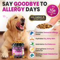 Dog Allergy Chews, Dog Allergy Relief for Itching Skin, Paw Licking, Yeast Relief, Hot Spots, Itchy Ears & Seasonal Allergies, Immune Support– with Colostrum, Probiotics – Chicken Flavor (200ct)