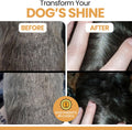 Omega 3 Fish Oil for Dogs - 180 Soft Chews - Itch Relief, Shedding & Hot Spots - Dog Allergy Relief - Salmon Oil Skin & Coat Supplement - EPA DHA - Chicken Flavor - Made in USA | Chew + Heal