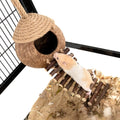 andwe Coconut Bird Nest Hut with Ladder for Parrots Parakeet Conures Cockatiel - Small Animals House Pet Cage Habitats Decor