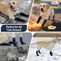 ROZKITCH 2 Pairs Cat Sock for Injured Paws, Breathable Socks for Cats Stop Scratching Pet Paw Protectors for Injured Paw