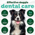 TropiClean Frehs Breath Tripleflex Dog Toothbrush for Large Dogs