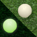 Chew King by Mammoth Set of 2 Glowing Fetch Ball, Durable Bouncy Interactive Toy for Pets & Dogs, Lightweight, 3 Inch, F