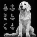Pride and Groom The Shedder Box Set – Deshedding Dog Shampoo & Conditioner with All Natural Blend of Essential Oils & Ingredients to Moisturize & Untangle Curly and Wavy Coats – 32oz