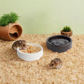2 Pack Ceramic Bowls for Syrian Hamster & Hedgehog, 3.9" Diameter, Shallow Chew-Proof Dish, Non-Slip Base, Easy to Clean