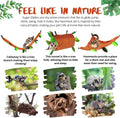 5Pcs Sugar Glider Supplies Cage Accessories Hammock Set Hanging Bed Hideout for Small Animal Pets Hamster Guinea Pig Squ