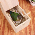 YJJKJ Wood Parakeet Nest Box Pet Bird House Parrot Breeding Mating Box Bird Cage Box for Lovebirds Cockatiel Parrotlets Budgerigar Parakeet (M)