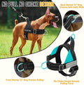 Lukovee No Pull Dog Harness and Leash Set, Soft Padded, with 5ft Leash, L
