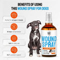 Silver Dog Wound Spray Helps with Hot Spots, Irritations, Bites, Burns, Rashes, Itch, Scratching – Better Use with a Dog Cone to Stop Licking – Safe for Large and Small Breeds – 4 oz