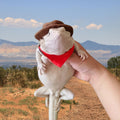 Bearded Dragon Cowboy Costume - Adjustable Lizard Cowboy Hat and Bandana Scarf Reptile Halloween Costume Photo Props for