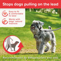 Beaphar | Gentle Leader | Head Collar for Small Dogs | Stops Pulling On The Lead | Training Aid with Immediate Effect | 