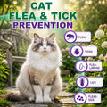 Treatment for Cat | Topical Preventative for Cats | 6 Doses Supply