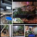Amypet Large Snake Hides for Ball Pythons and Different Reptiles Durable Material Easy to Clean 16.5 x10.6 x 4.3inch (XX