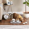 Bone Dry Machine Washable, Ultra Absorbent Pet Mat, 12x18