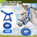 1 Set Mini Donkey Halter with Lead Rope Adjust