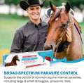Ivermect Horse Paste 1.87%, for Horse Use Only, 6.08g, 1 Pack, Appled Flavored