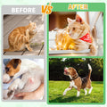 Flea & Tick Prevention for Dogs & Cats, Oral Flea Drops with Multivitamins