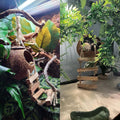 5PCS Coconut Hut for Gecko, Lizard Coco Den with Ladder and Reptile Hammock Bearded Dragon Tank Accessories Climbing Han