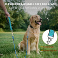 Dog Runner Trolley Cable: 75FT Heavy Duty Zipline for Yard & Camping with 10Ft Tie-Out & Shock Spring - Up to 200LBS