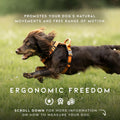 MADE TO ROAM Premium Explorer Harness - Y-Shaped Dog Harness with Adjustable Durable Nylon, Soft Padding, Metal Buckles 