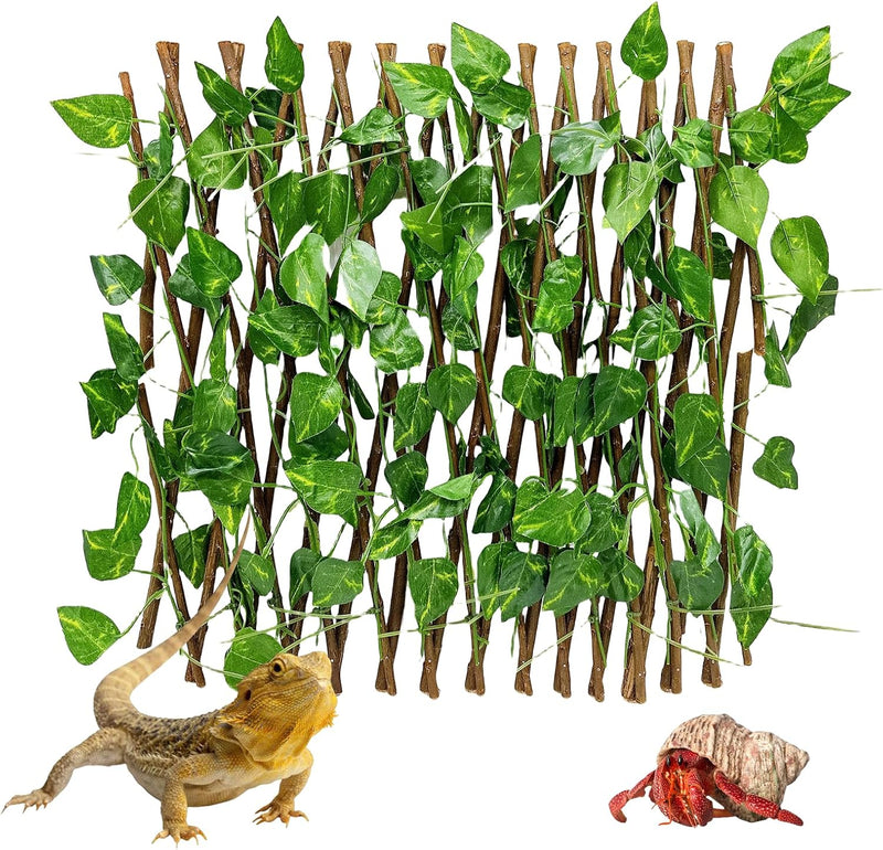Reptile Hermit Crab Climbing Wall Toy Bearded Dragon Climb Tank Accessories