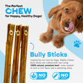 7" Standard Bully Sticks 10 Pack Refill - No Choking/All Natural Pizzle Sticks