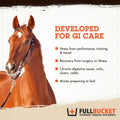 FullBucket Equine Probiotic Pellets with Saccharomyces boulardii for Horses Under Stress or for Horses with Digestive Is