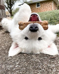 Nylabone Nubz Natural Dog Chew Treats for Large Dogs, Long Lasting Dog Chew Bones Made in the USA, Chicken Flavor Breath Freshener Dental Chews, Large Dog Bones For Dogs Over 30 lbs. (40 Count)